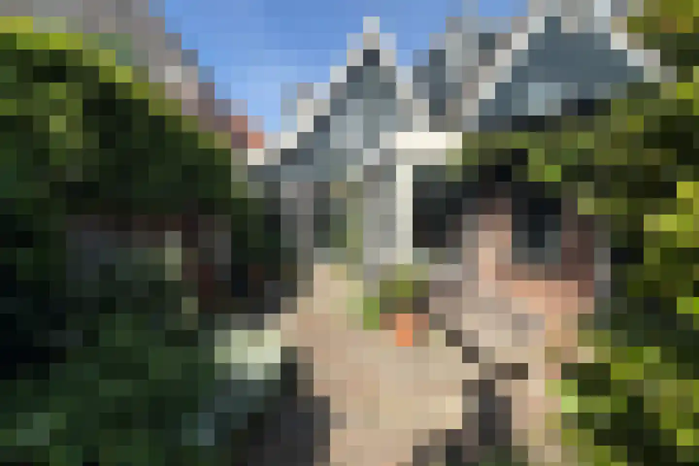 Groot Nieuwland 45 Alkmaar thumbnail 24