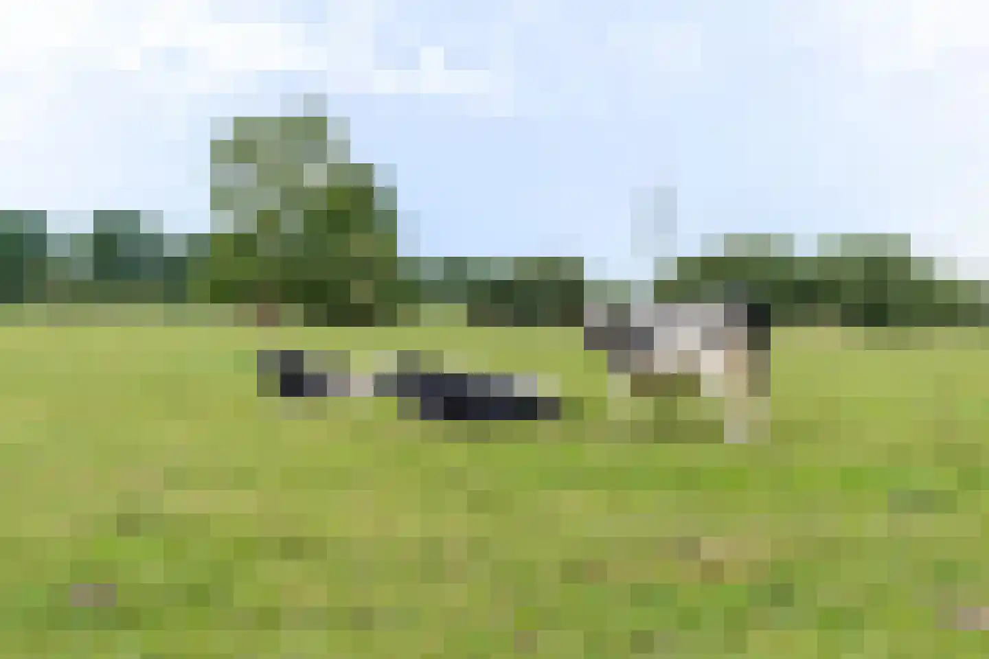 Groot Oever 5 Balkbrug thumbnail 10