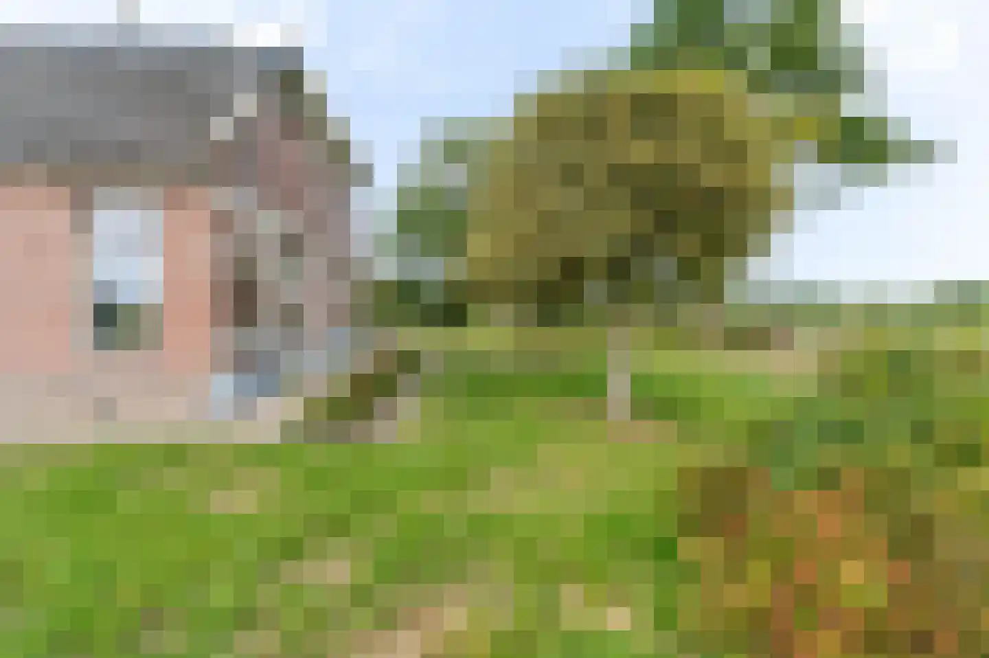 Groot Oever 5 Balkbrug thumbnail 16