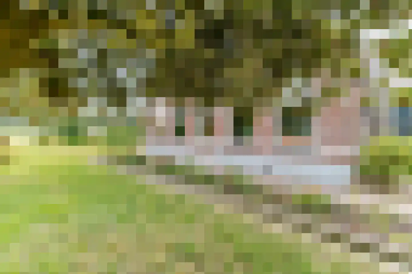 Groot Oever 5 Balkbrug thumbnail 17