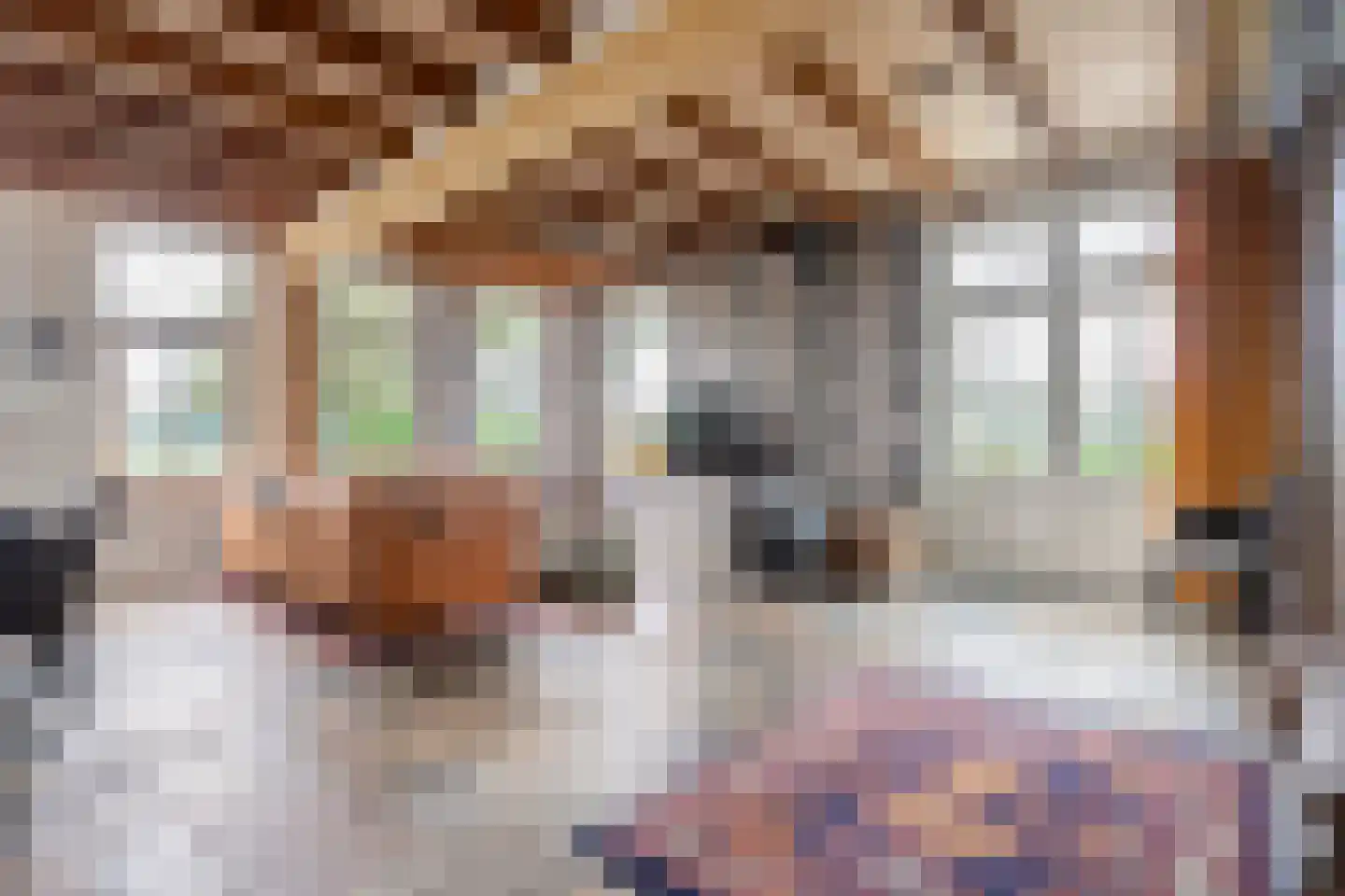 Groot Oever 5 Balkbrug thumbnail 19