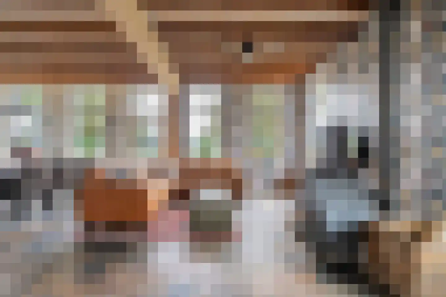Groot Oever 5 Balkbrug thumbnail 20