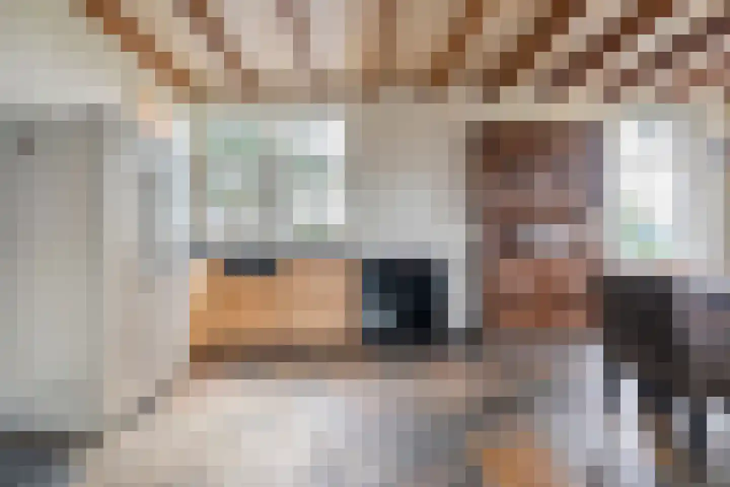 Groot Oever 5 Balkbrug thumbnail 26