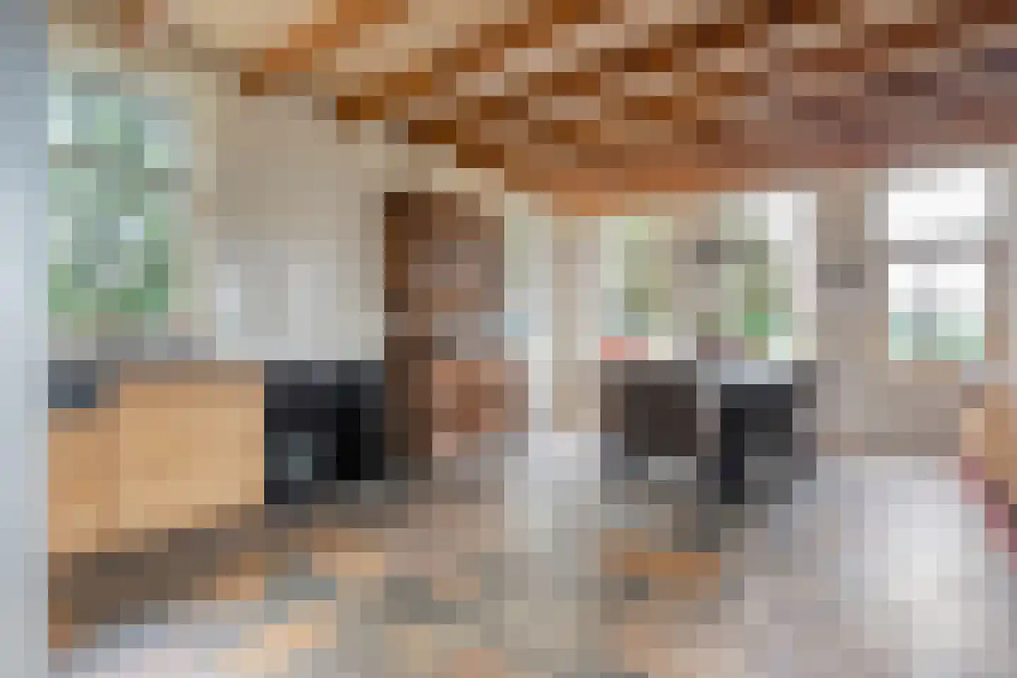 Groot Oever 5 Balkbrug thumbnail 27