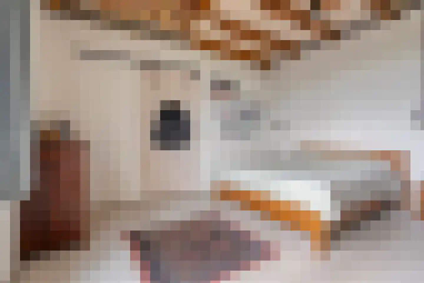 Groot Oever 5 Balkbrug thumbnail 29
