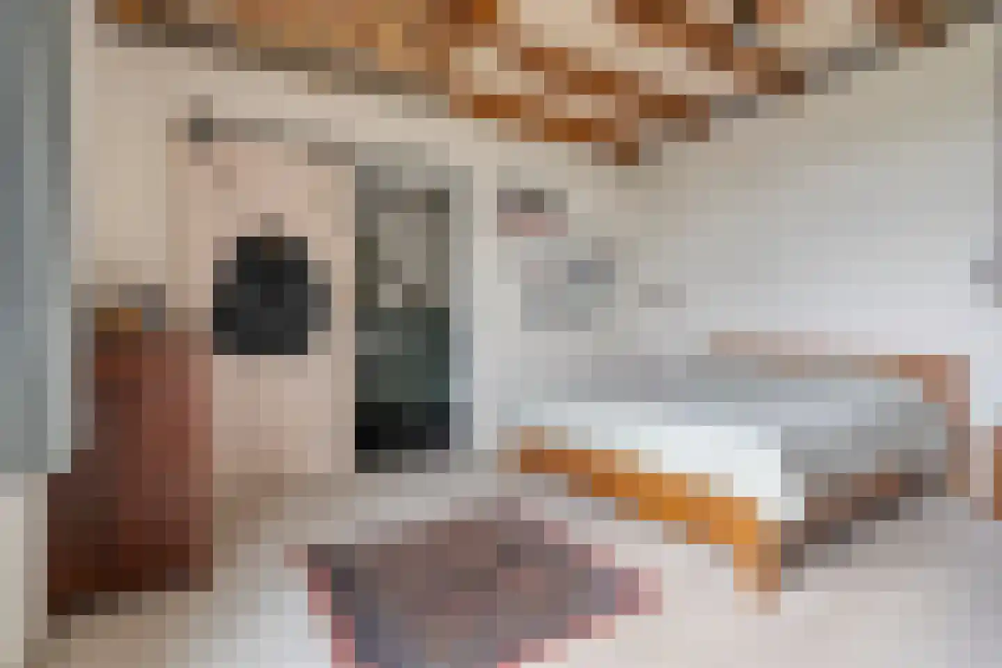 Groot Oever 5 Balkbrug thumbnail 30