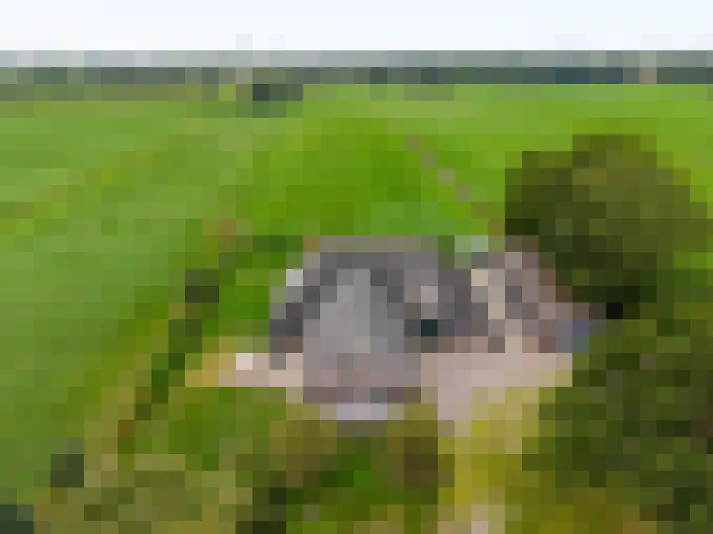 Groot Oever 5 Balkbrug thumbnail 4