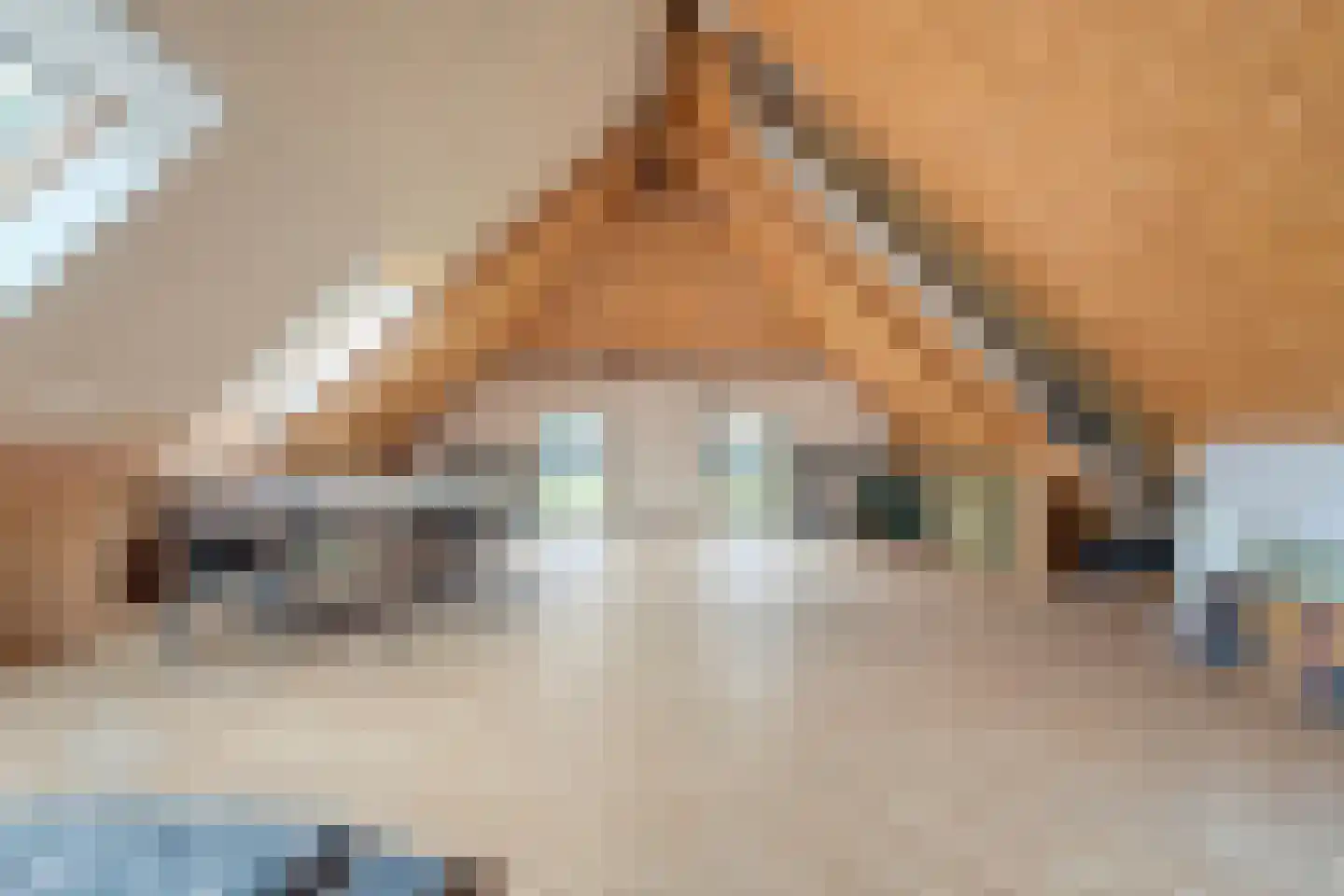 Groot Oever 5 Balkbrug thumbnail 41