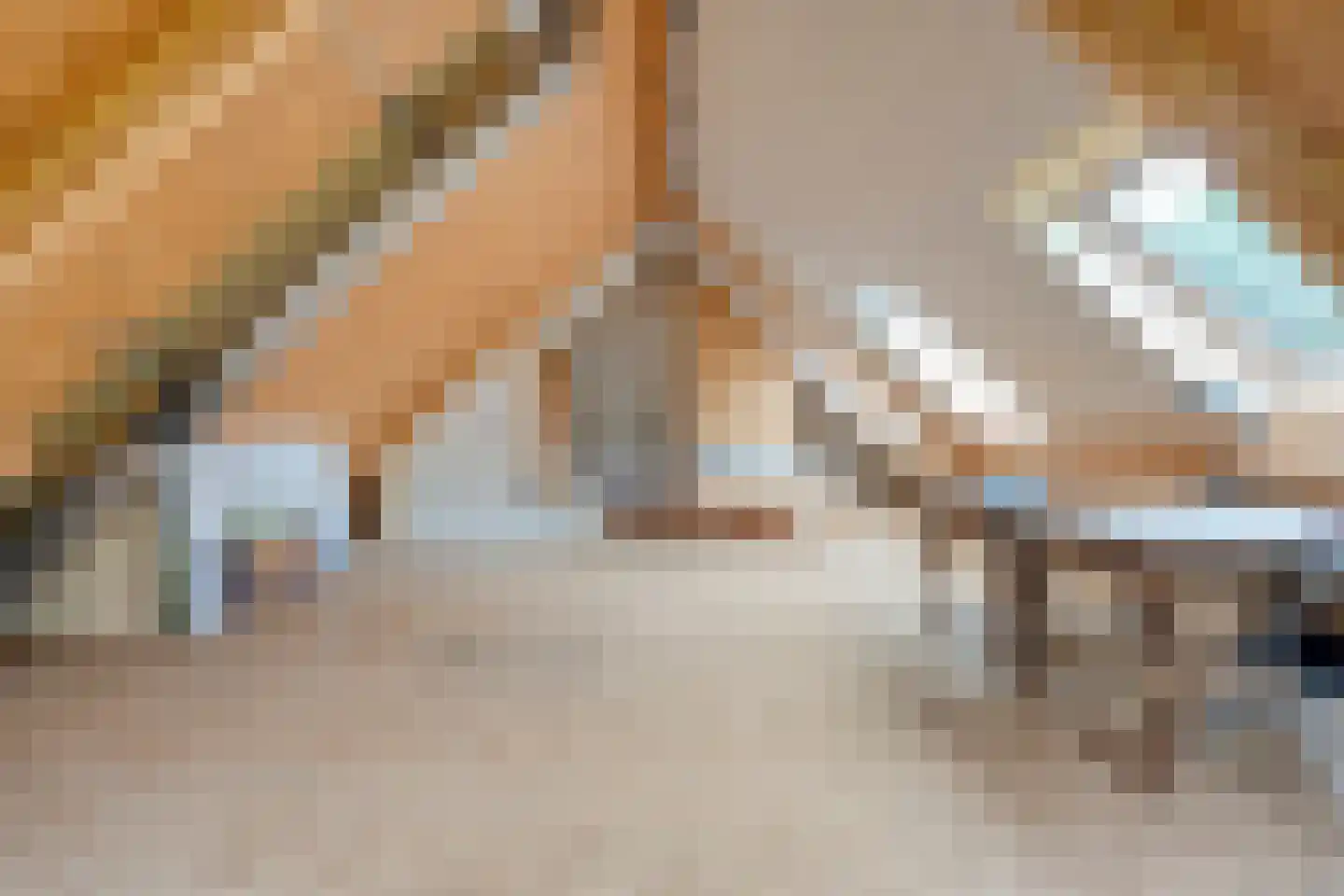 Groot Oever 5 Balkbrug thumbnail 43