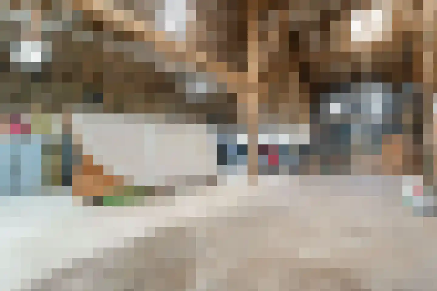 Groot Oever 5 Balkbrug thumbnail 49