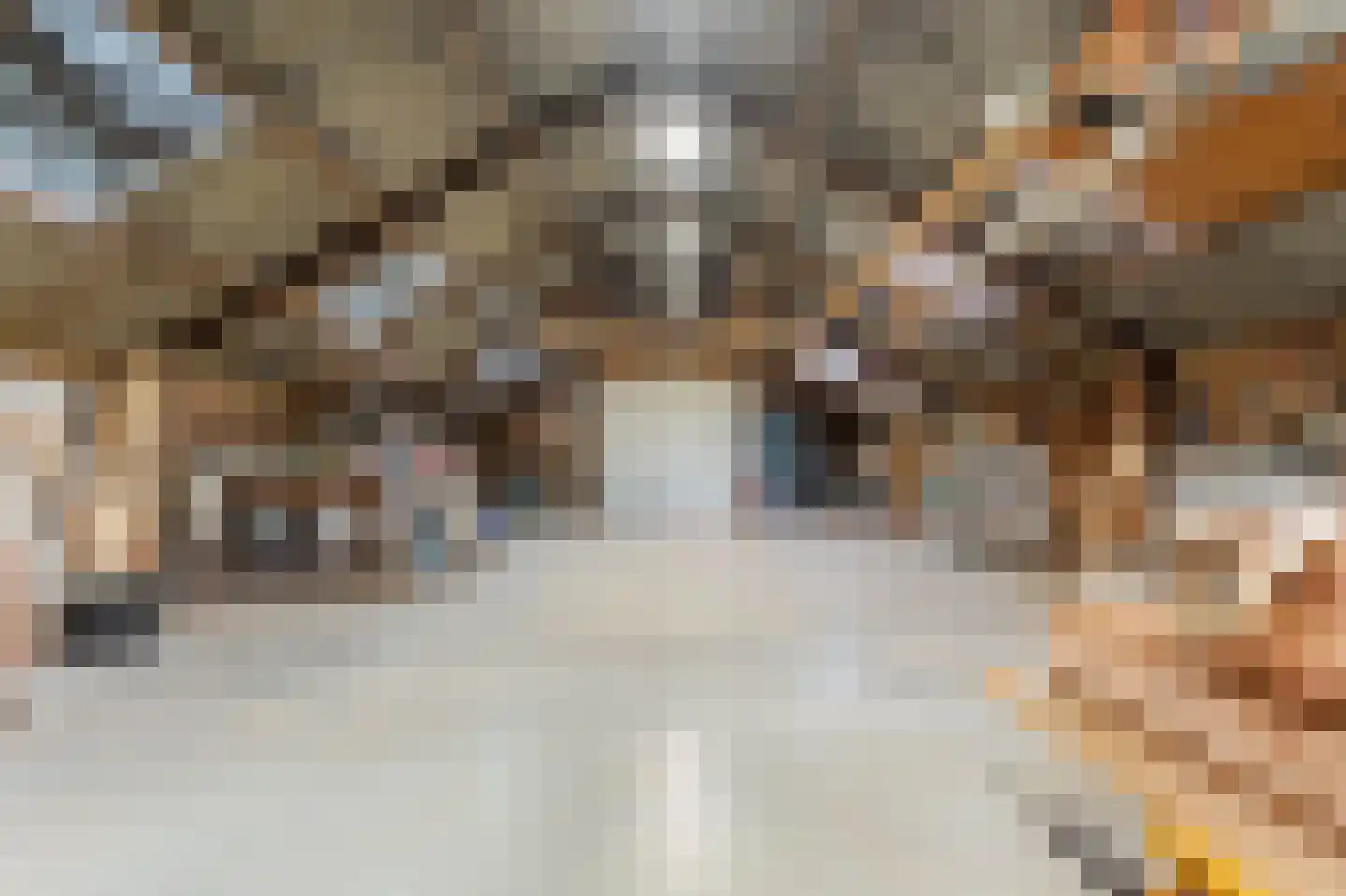 Groot Oever 5 Balkbrug thumbnail 53