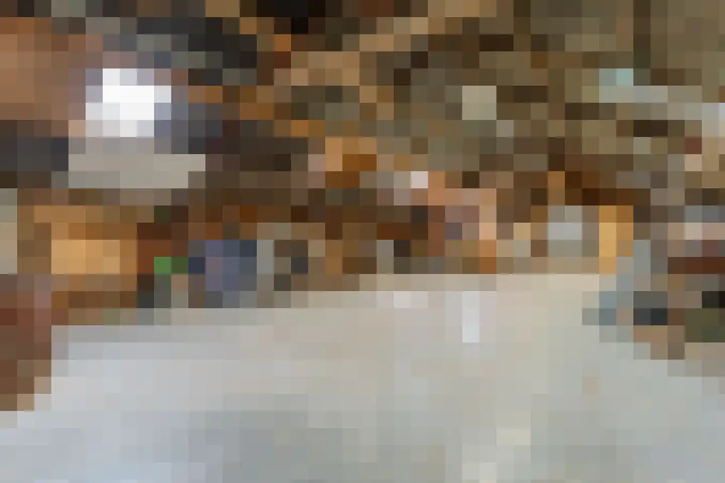 Groot Oever 5 Balkbrug thumbnail 54