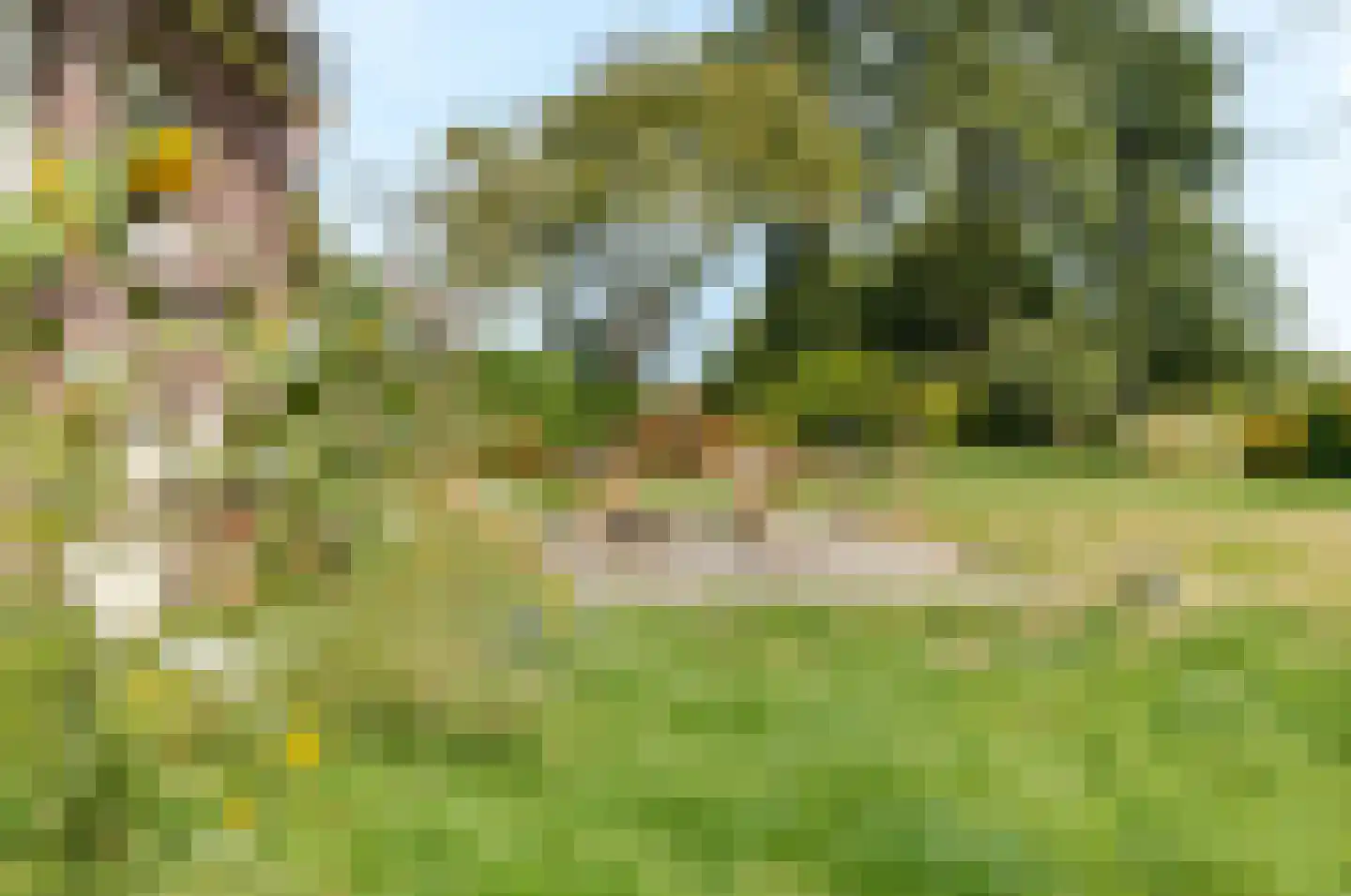 Groot Oever 5 Balkbrug thumbnail 61