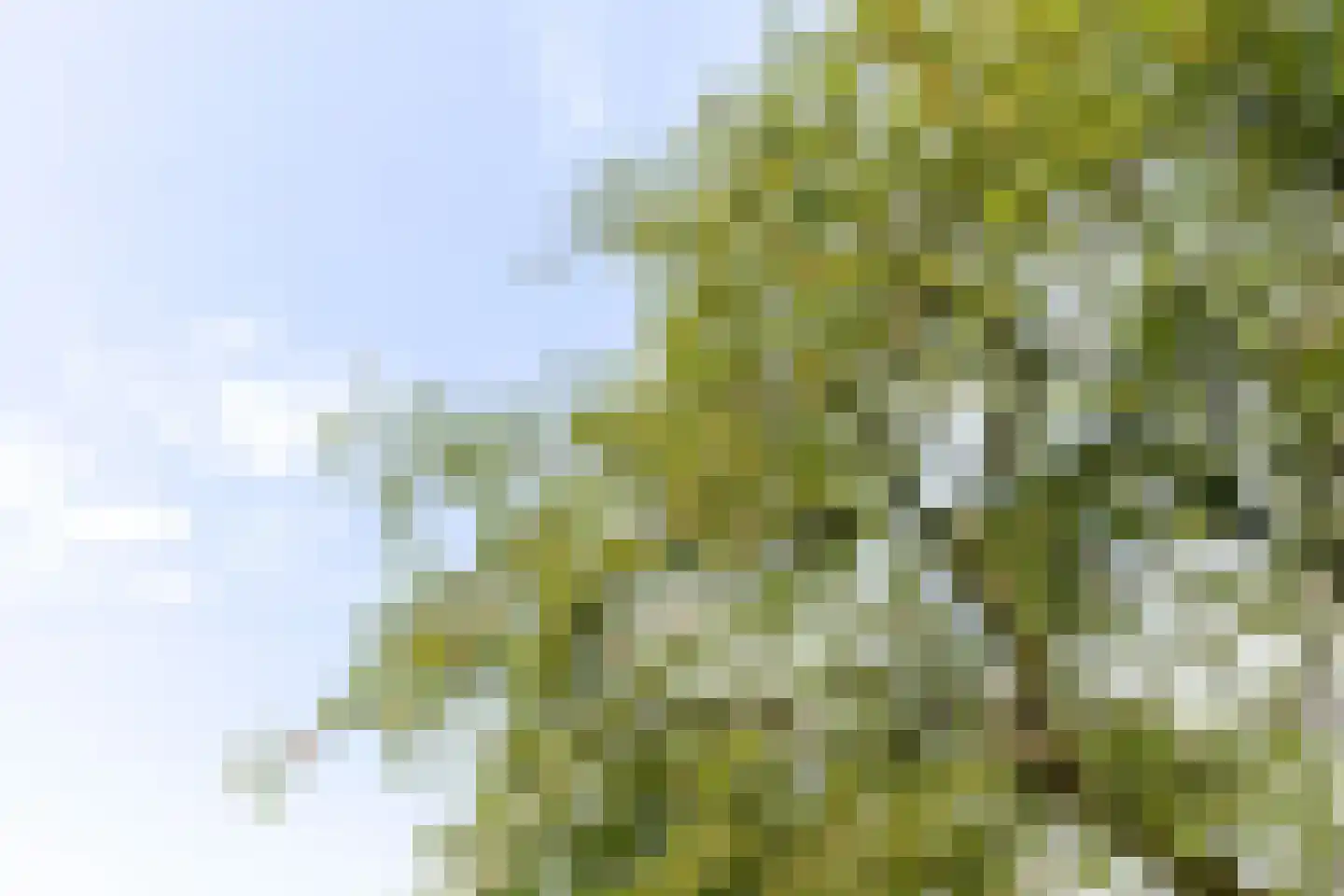 Groot Oever 5 Balkbrug thumbnail 62