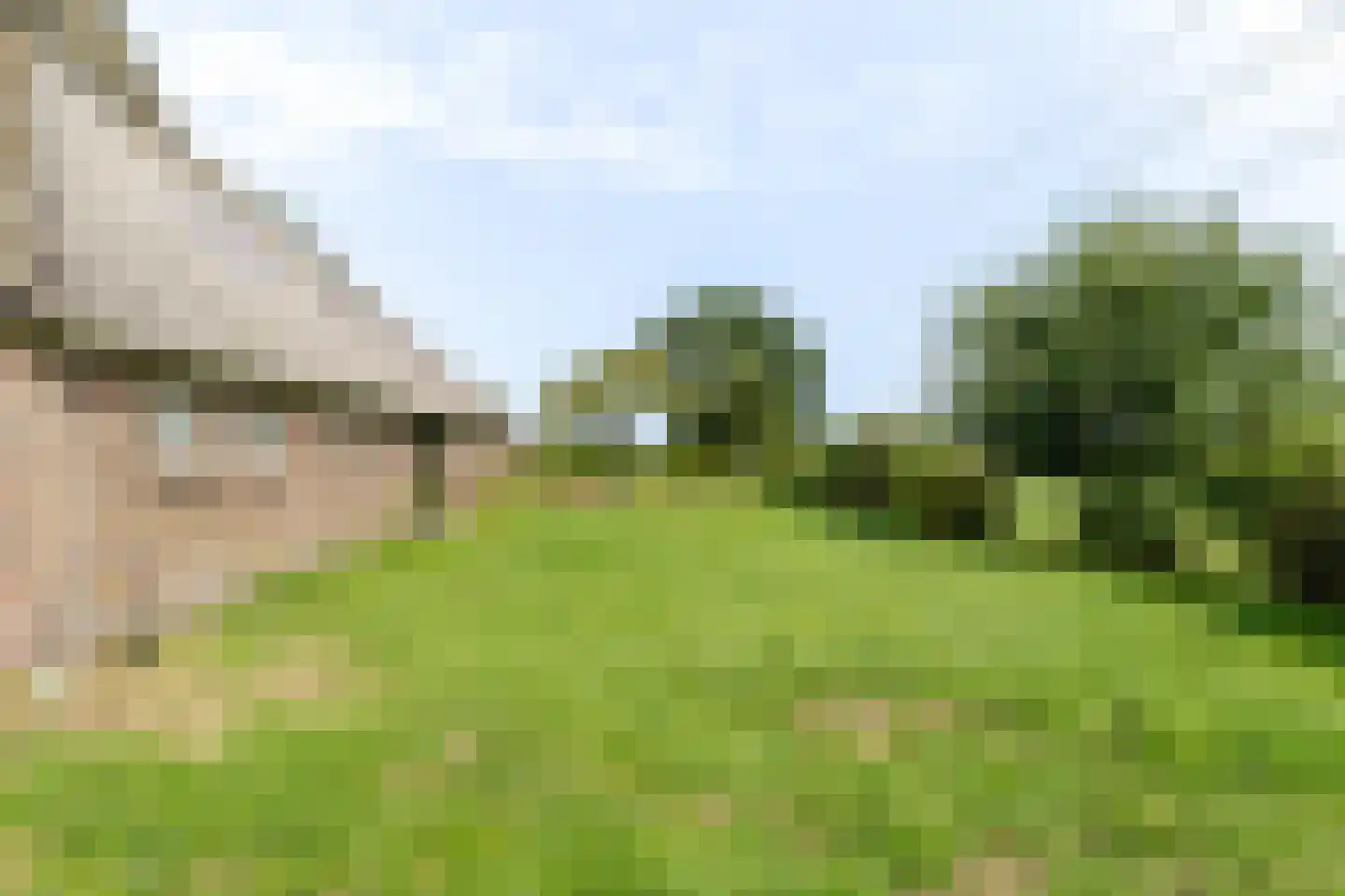 Groot Oever 5 Balkbrug thumbnail 64
