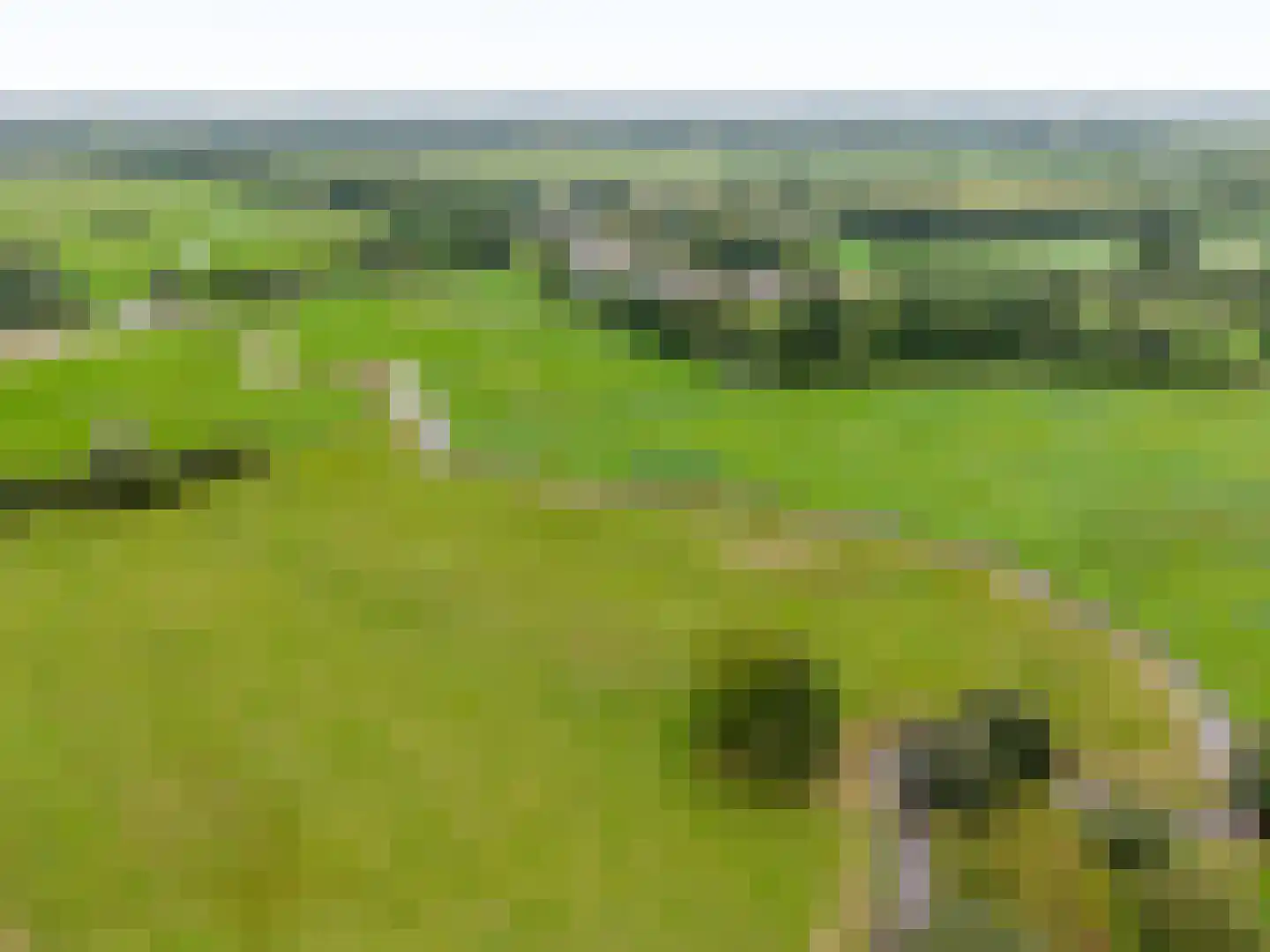 Groot Oever 5 Balkbrug thumbnail 67