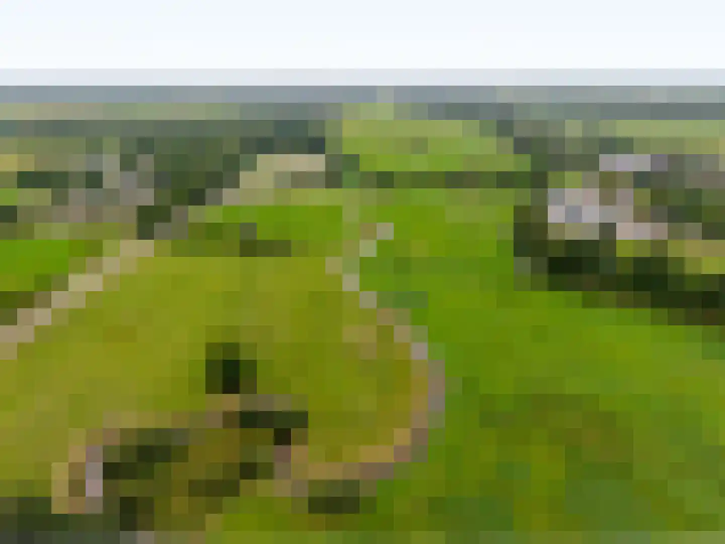 Groot Oever 5 Balkbrug thumbnail 68