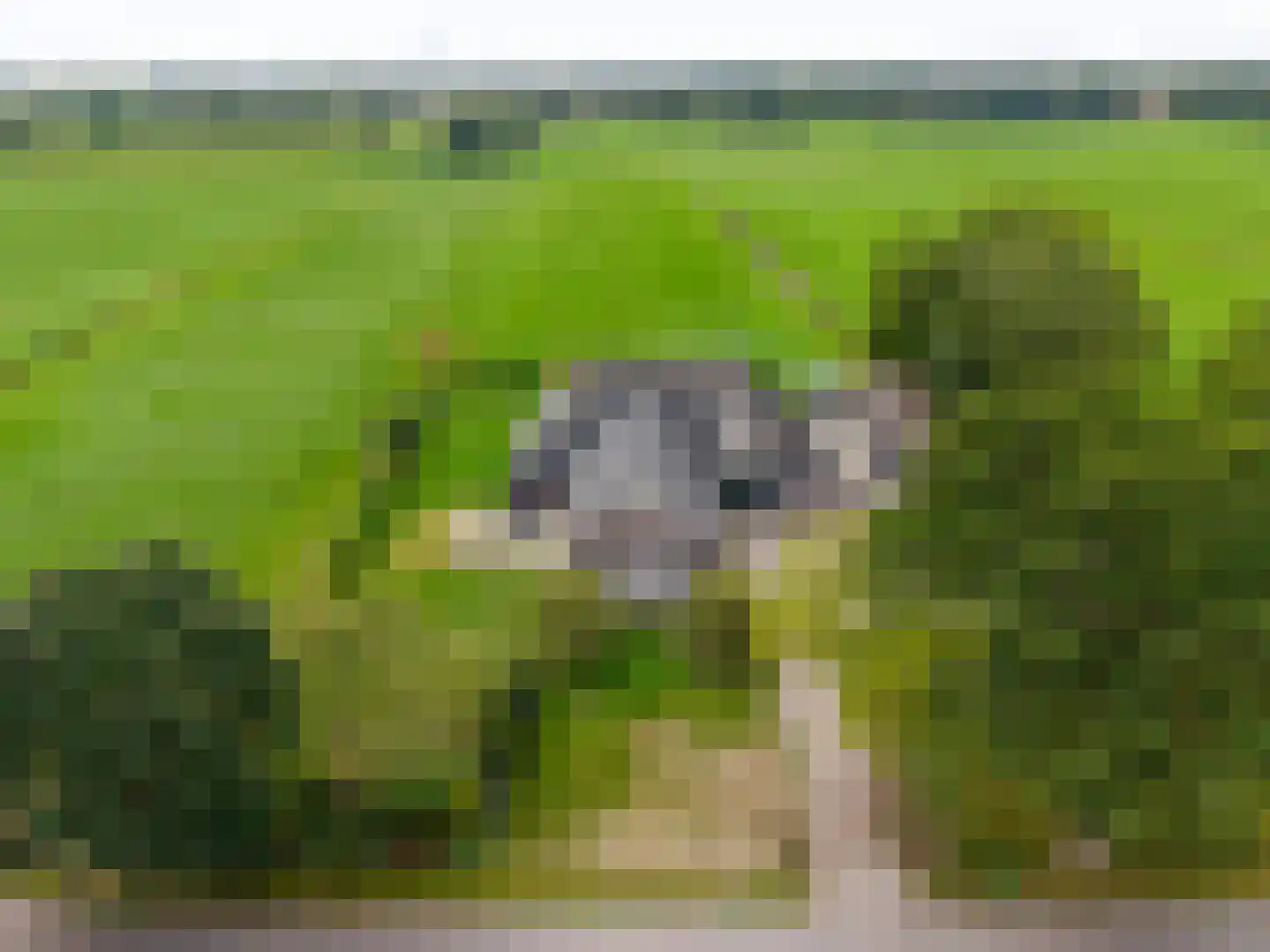 Groot Oever 5 Balkbrug thumbnail 7