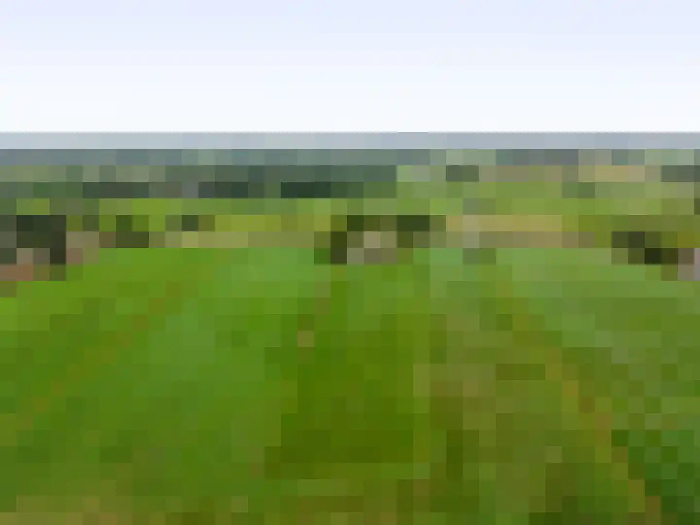Groot Oever 5 Balkbrug thumbnail 8