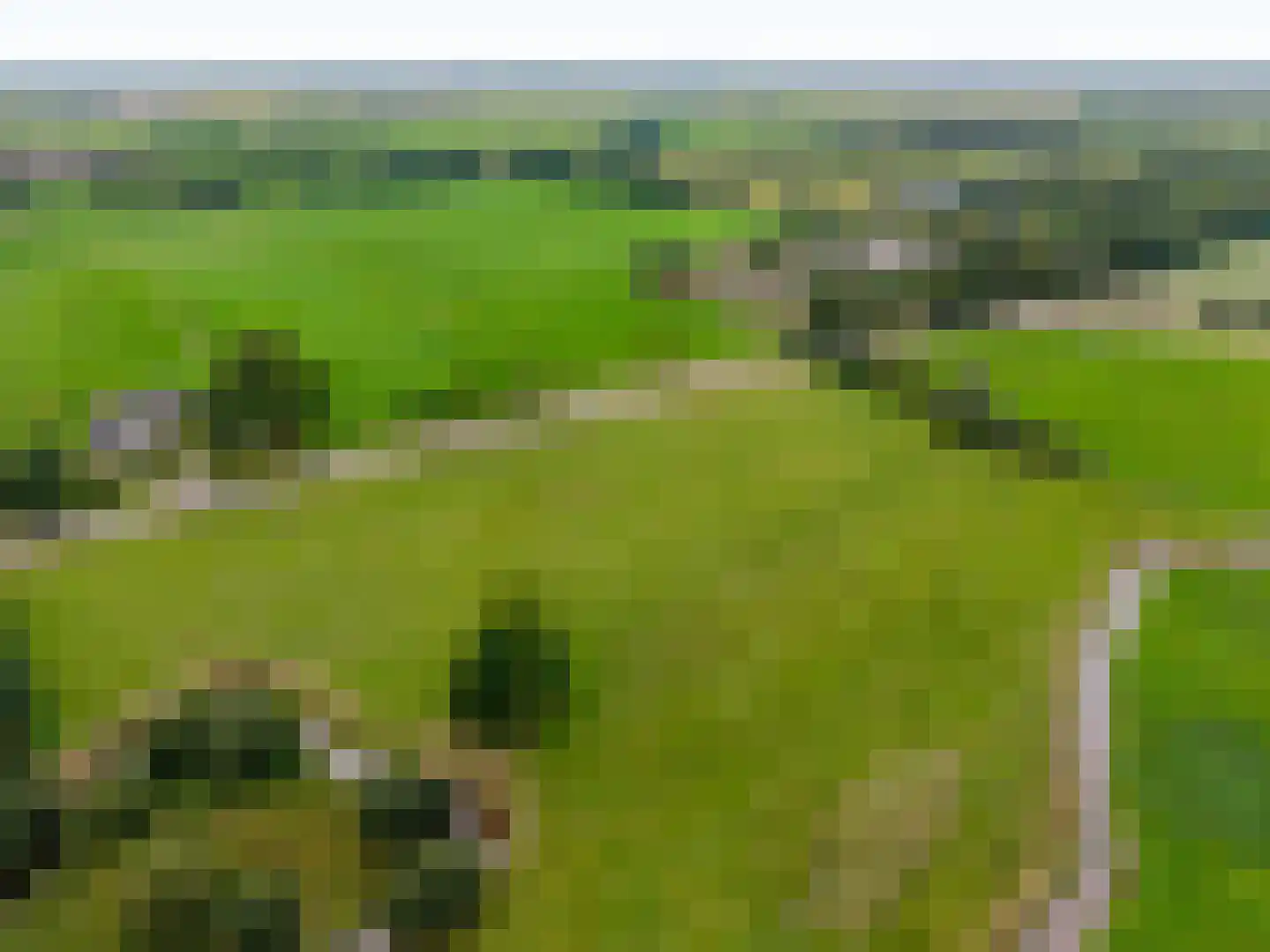 Groot Oever 5 Balkbrug thumbnail 9
