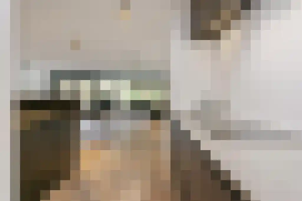 Groot Paradijs 107 Eindhoven thumbnail 5