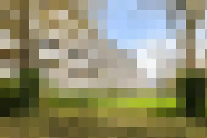 Groot Paradijs 129 Eindhoven