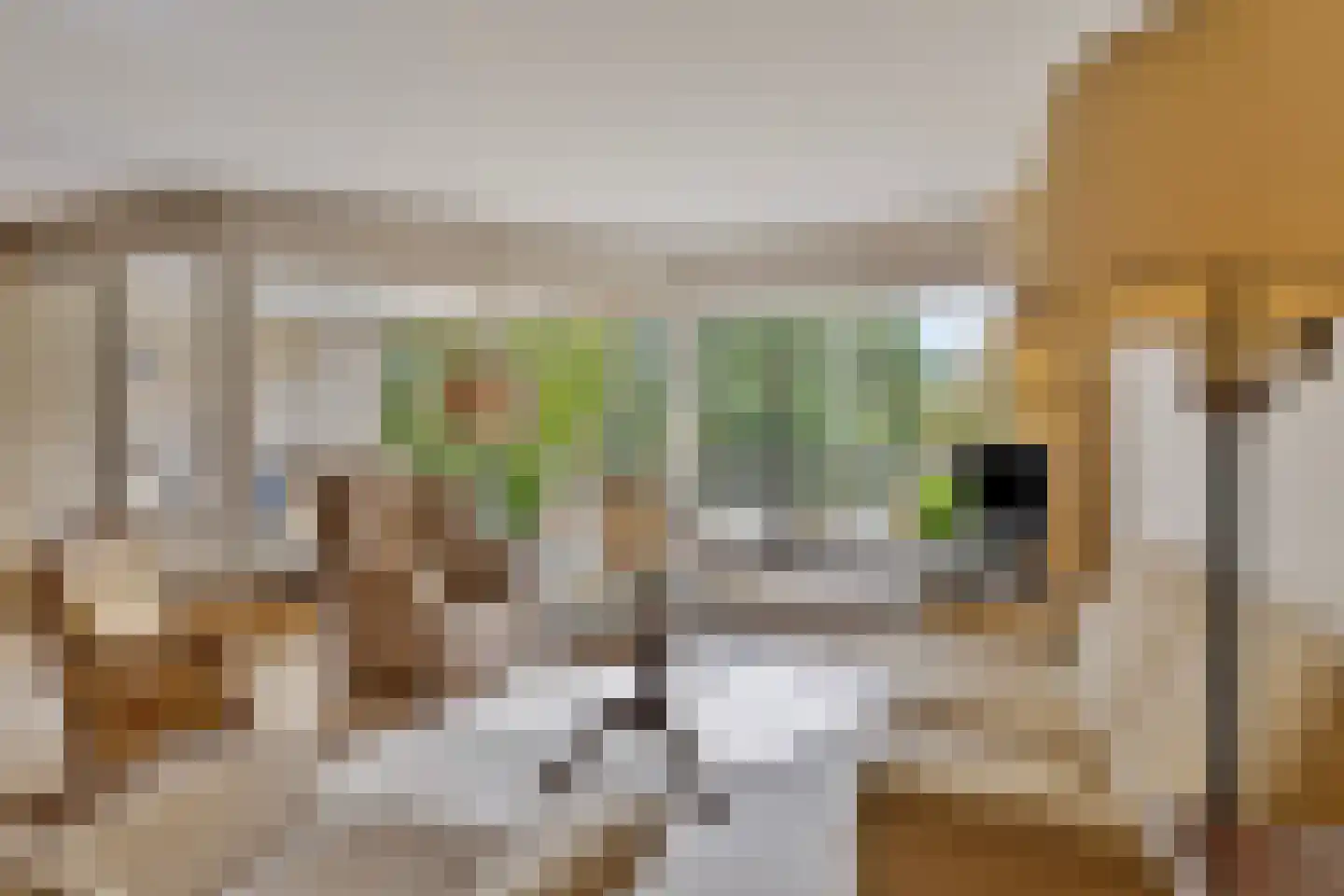 Groot Paradijs 25 Eindhoven thumbnail 15