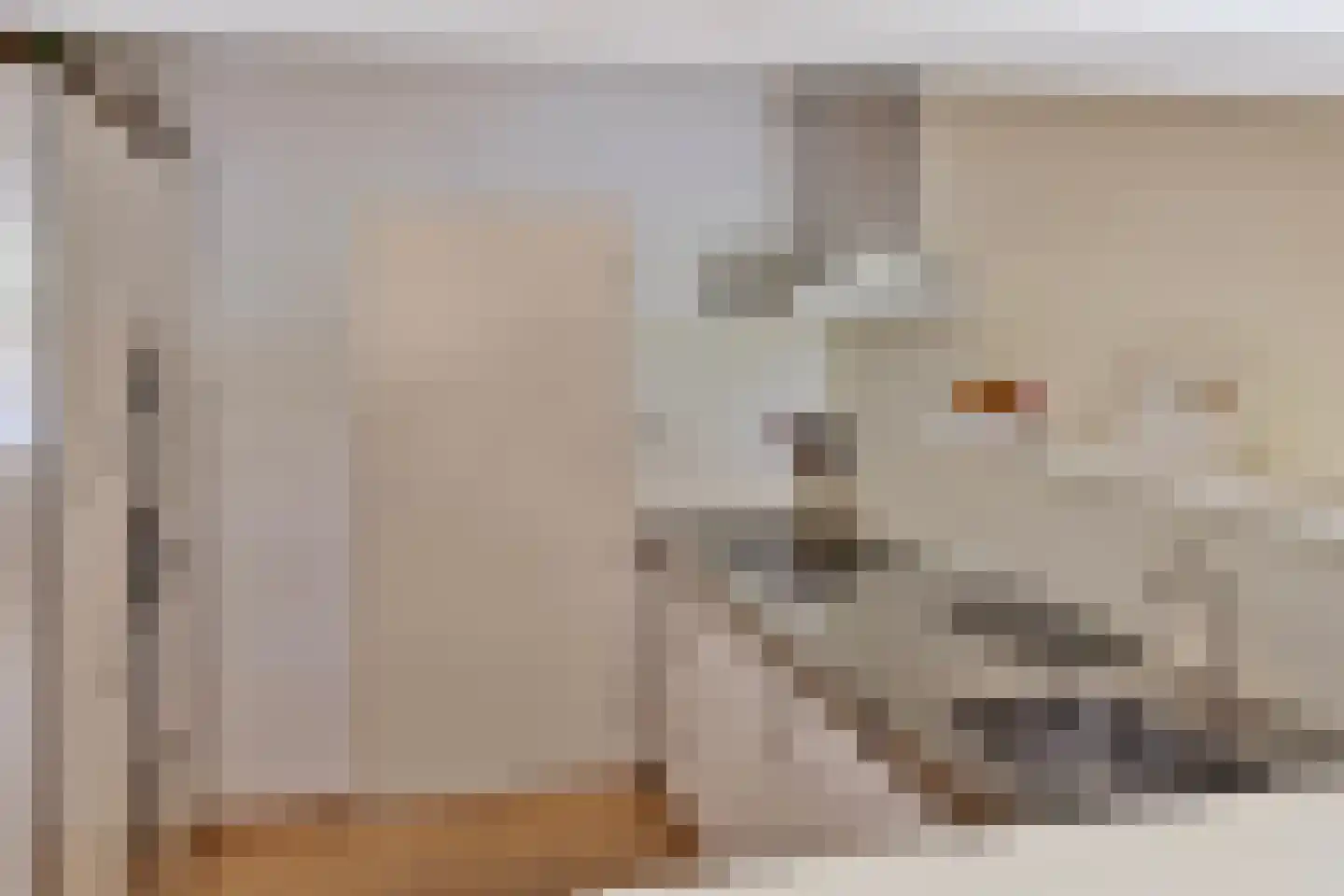 Groot Paradijs 25 Eindhoven thumbnail 22