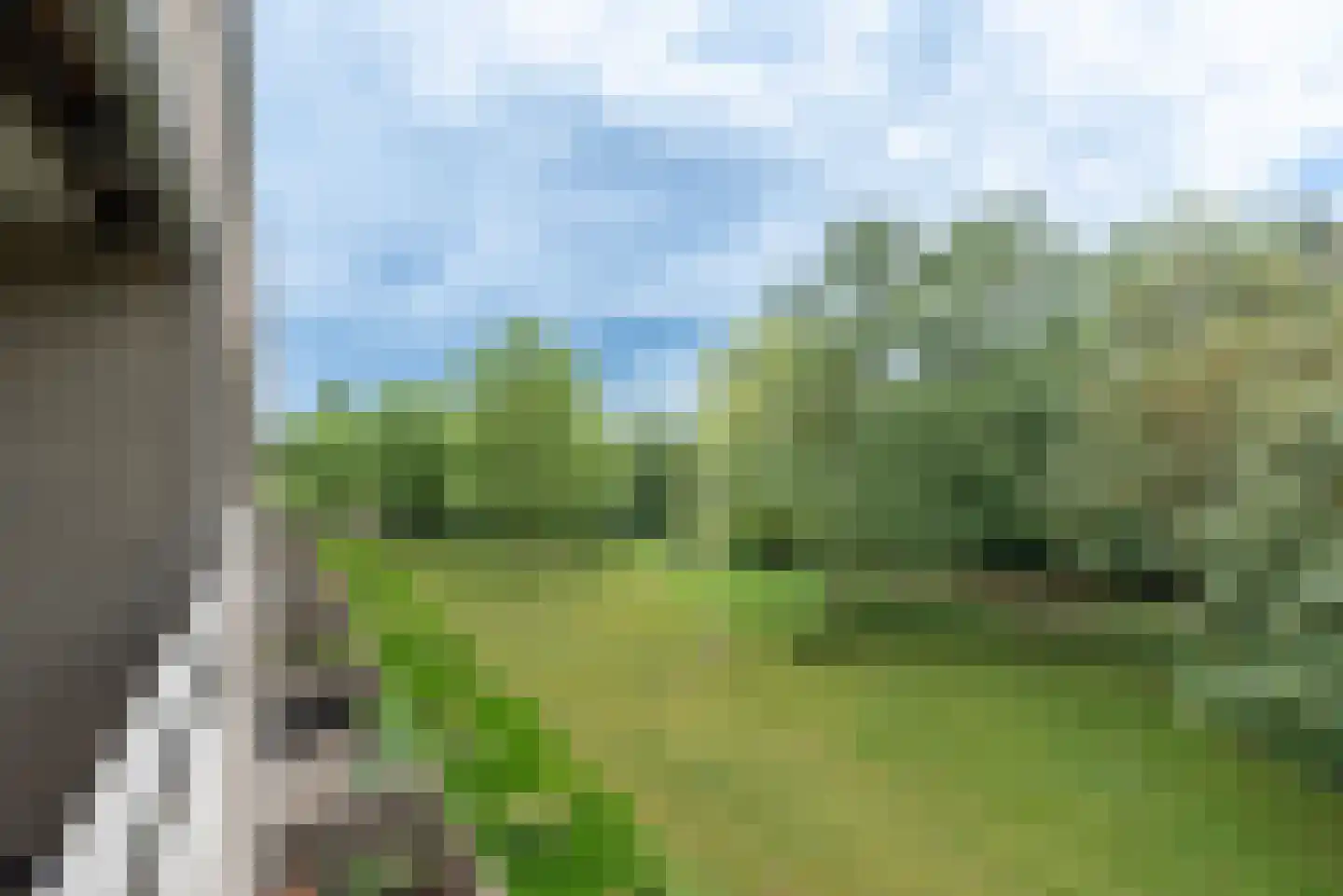 Groot Paradijs 91 Eindhoven thumbnail 5