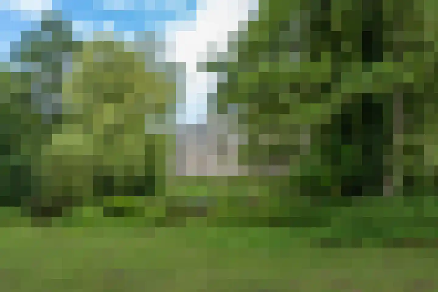 Groot Paradijs 91 Eindhoven thumbnail 57