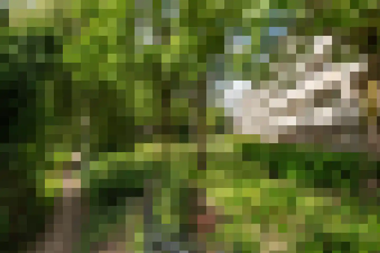 Groot Paradijs 91 Eindhoven thumbnail 58