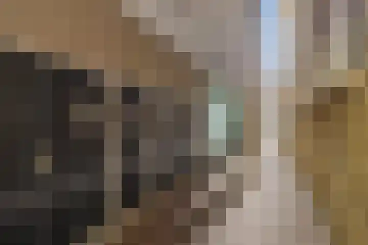 Groot Schavernek 7 c Leeuwarden thumbnail 11