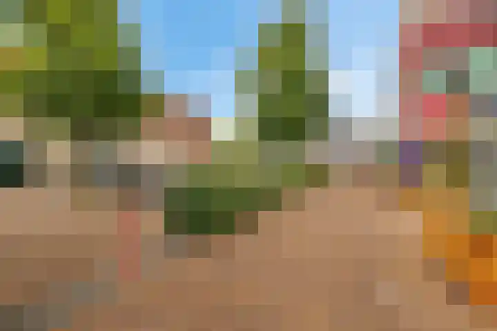 Groot Schavernek 7 c Leeuwarden thumbnail 15