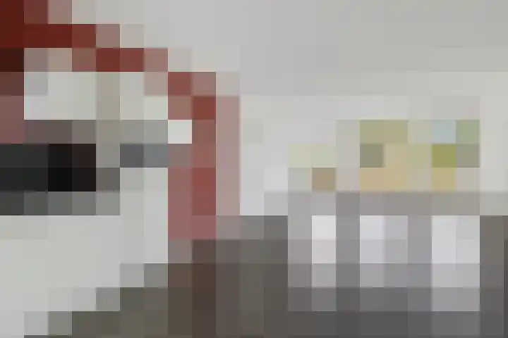 Groot Schavernek 7 c Leeuwarden thumbnail 28