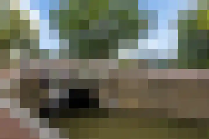 Groot Schavernek 7 c Leeuwarden thumbnail 42