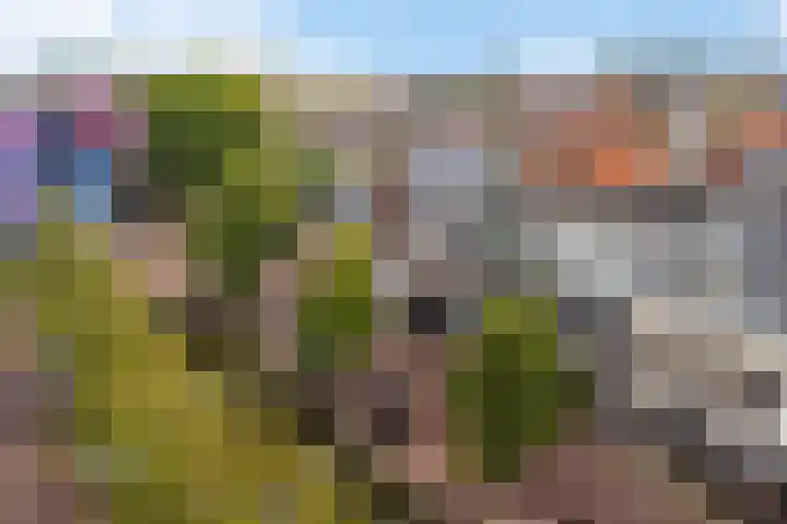 Groot Schavernek 7 c Leeuwarden thumbnail 46