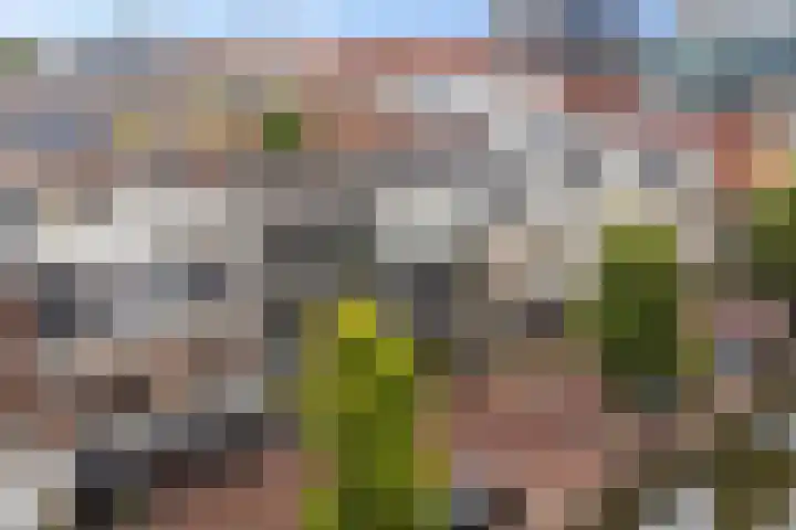 Groot Schavernek 7 c Leeuwarden thumbnail 47