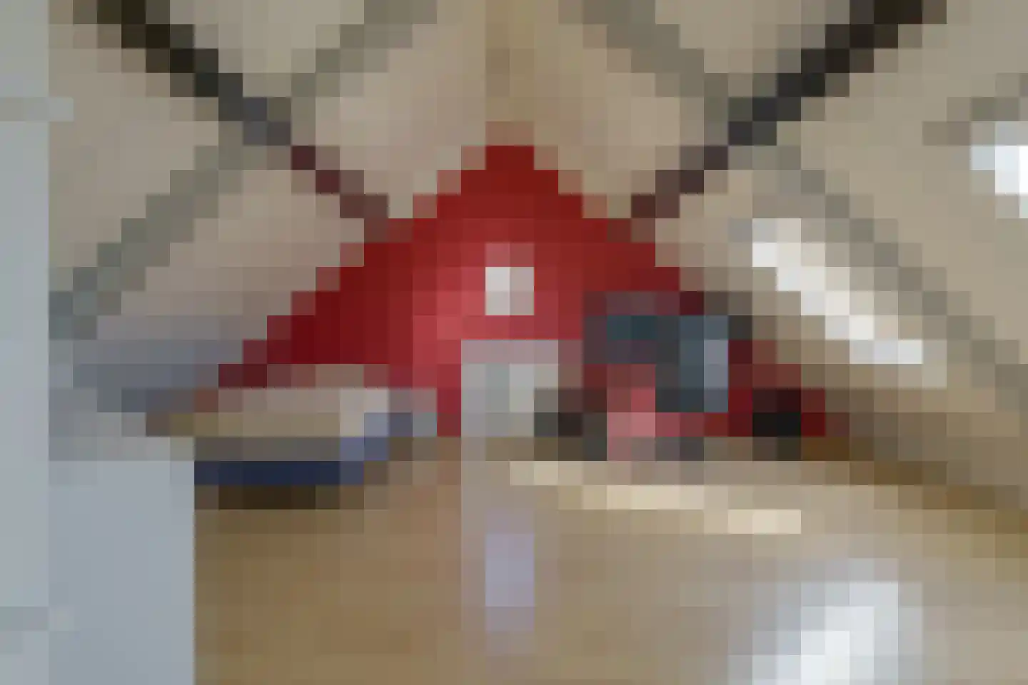 Groot Schuilen 8 Helmond thumbnail 50