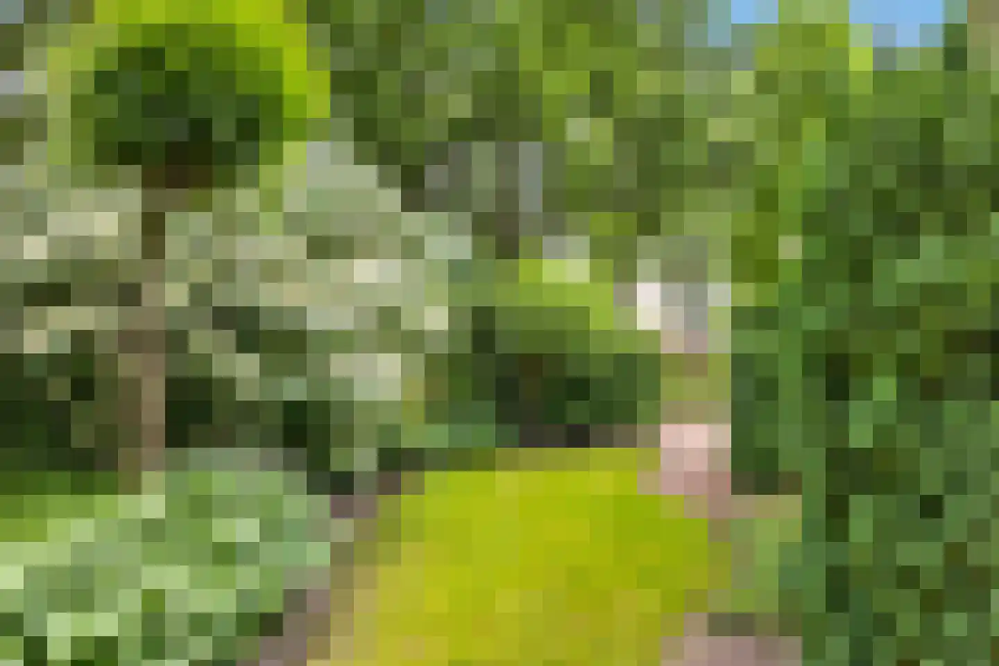 Groot Tegeler 37 Enschede thumbnail 33