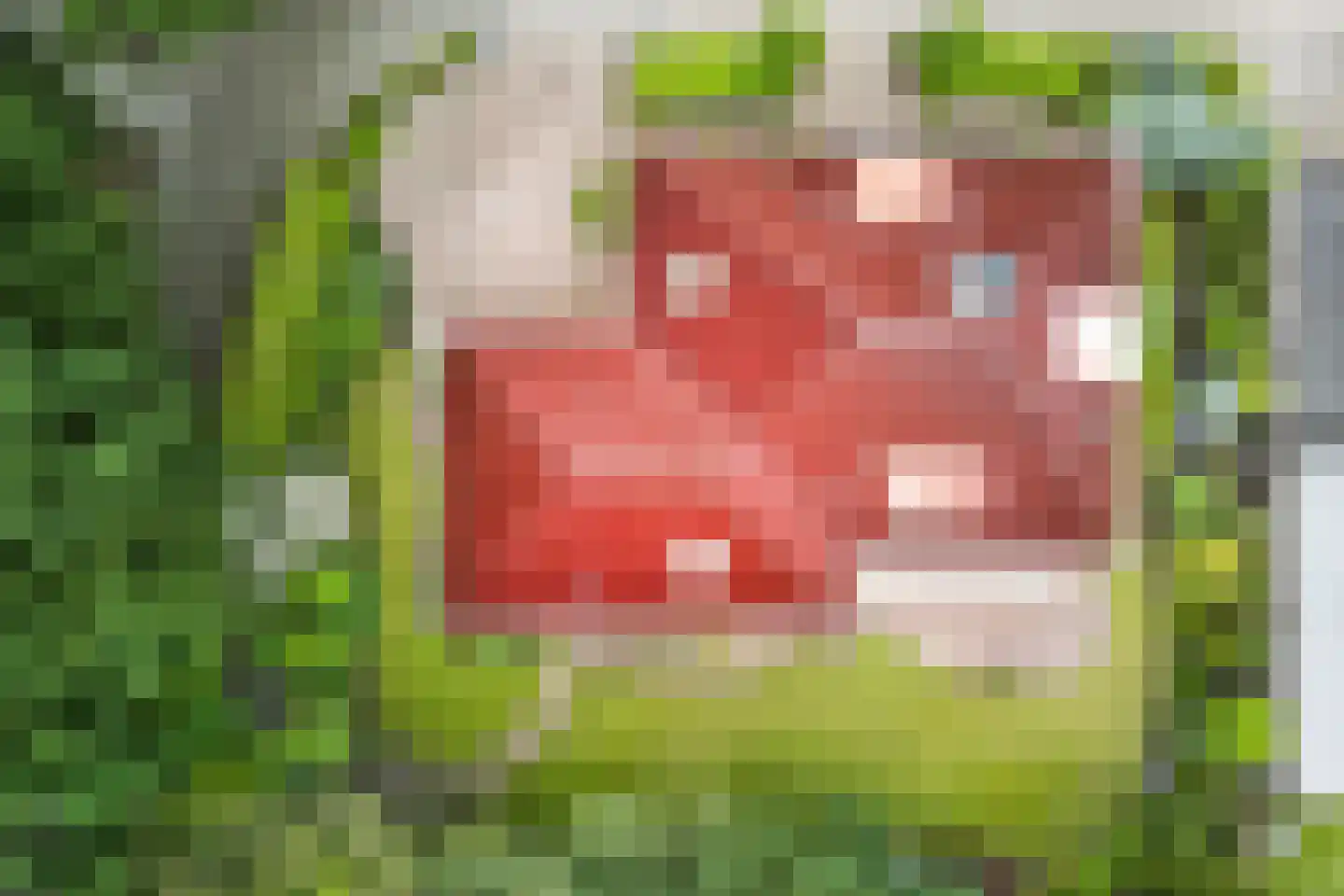 Groot Tegeler 37 Enschede thumbnail 57