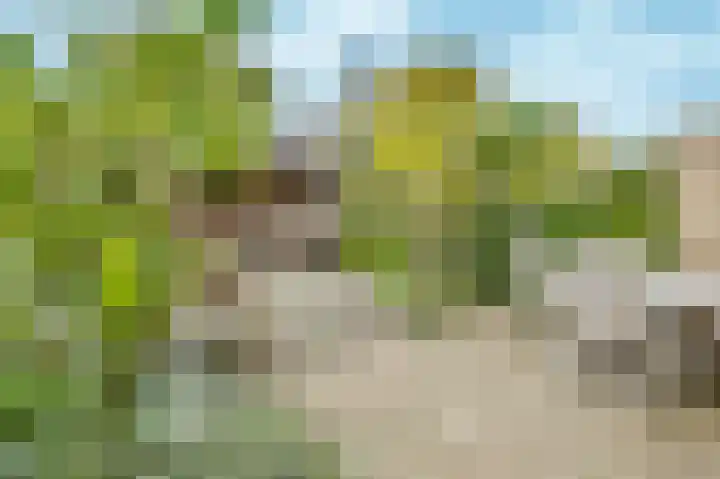 Groot Veldsweer 125 Hardinxveld-Giessendam thumbnail 10