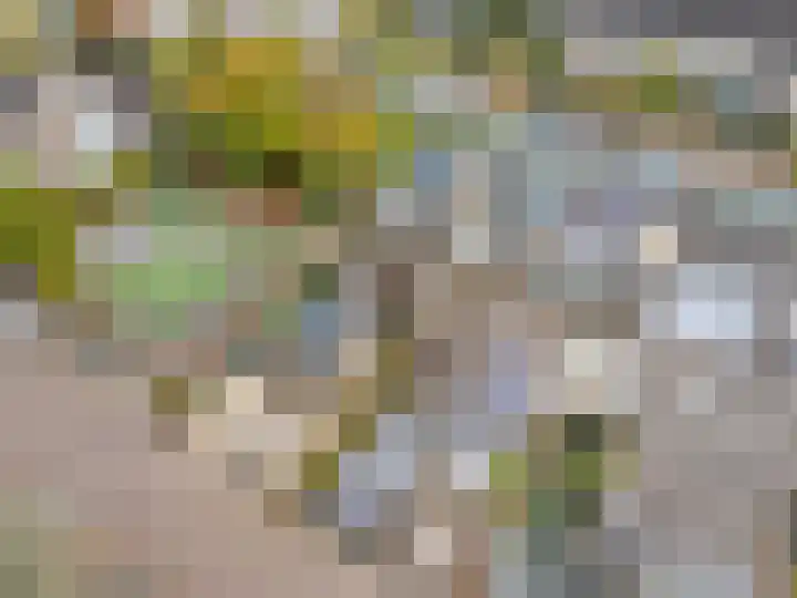 Groot Veldsweer 125 Hardinxveld-Giessendam thumbnail 33