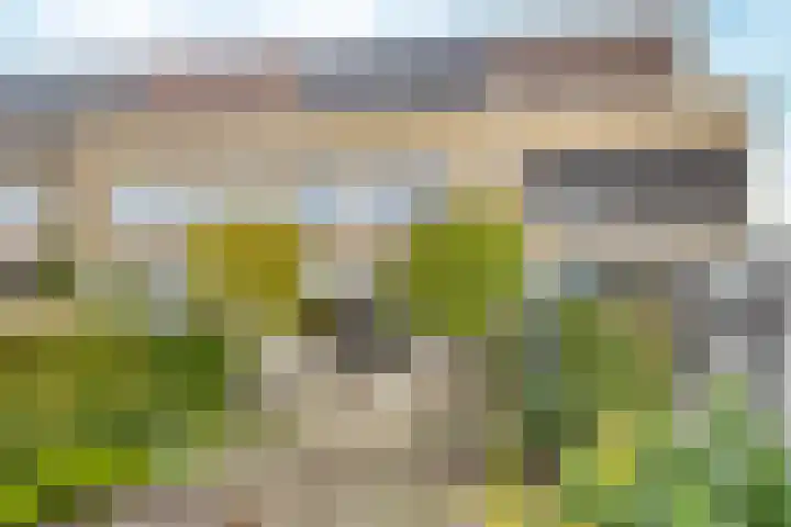 Groot Veldsweer 125 Hardinxveld-Giessendam thumbnail 4