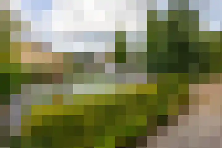 Groot Veldsweer 129 Hardinxveld-Giessendam thumbnail 22