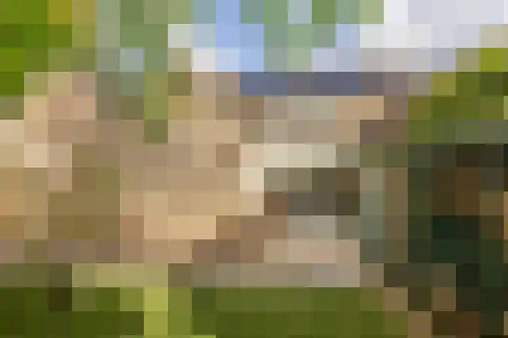 Groot Veldsweer 129 Hardinxveld-Giessendam thumbnail 32