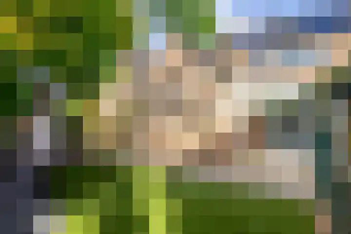 Groot Veldsweer 129 Hardinxveld-Giessendam thumbnail 33