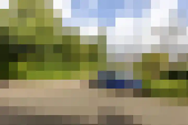 Groot Veldsweer 129 Hardinxveld-Giessendam thumbnail 39