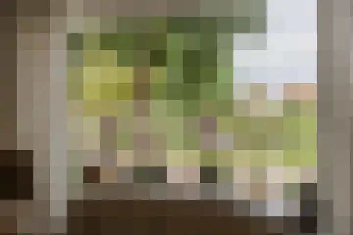 Groot Veldsweer 27 Hardinxveld-Giessendam thumbnail 6
