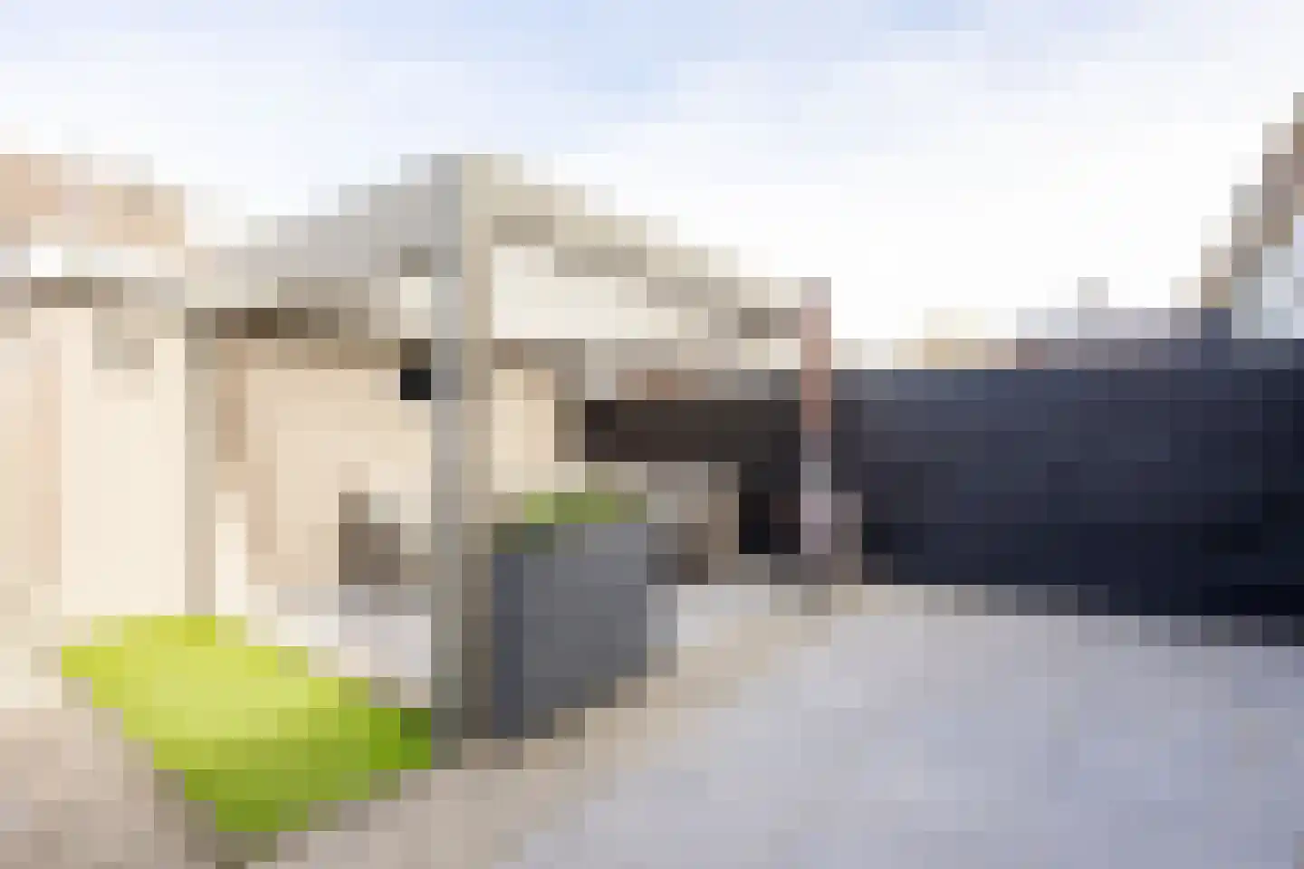 Groot Veldsweer 28 Hardinxveld-Giessendam thumbnail 35