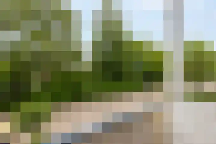 Groot Veldsweer 56 Hardinxveld-Giessendam thumbnail 15